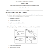 2026 Grade 5  End Term 3 Exams with Marking Schemes - Set 1