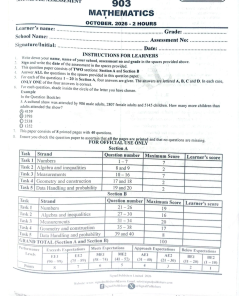 2026 GRADE 9  SIGNAL SPARKS SET 3B EXAM PAPERS WITH MARKING SCHEMES