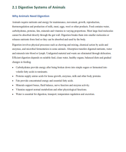 Grade 11 Agricuture Strand 2.0 Animal Production Notes